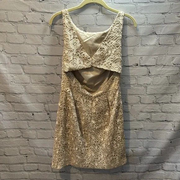 Aidan Mattox | Sleeveless Lace Jacquard Champagne Mini Cocktail Dress | Size 8 - Picture 6 of 8